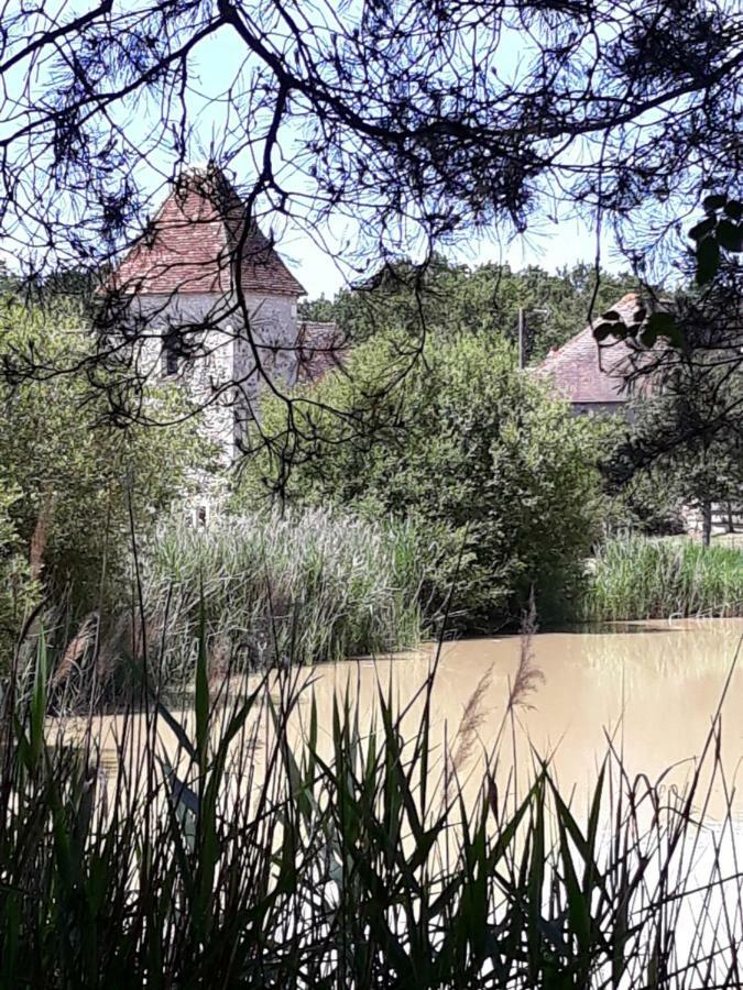 Le Manoir De Pierre Levee, The Originals Collection Hotel Tournon-Saint-Martin Luaran gambar